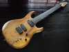 carvin custom 2.jpg
